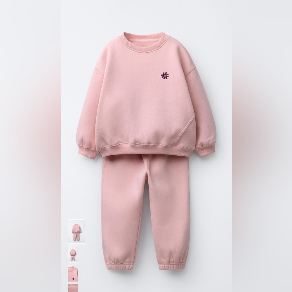 Zara Soft Pink Knit Top